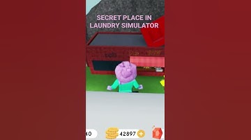 SECRET PLACE IN LAUNDRY SIMULATOR.