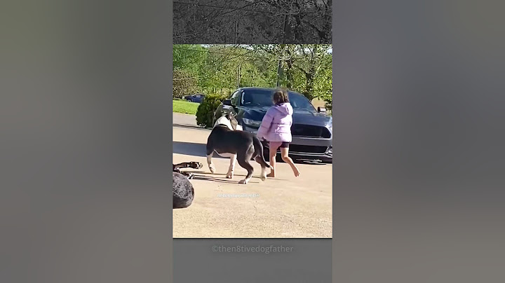 Loyal Dogs Guard This Little Girl Like Bodyguards! #shorts