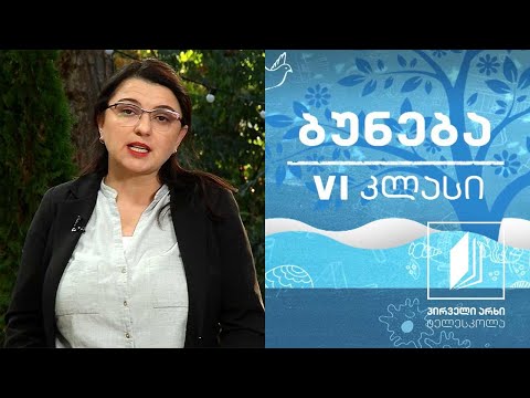 ბუნება, VI კლასი - საჭმლის მონელება; ჯანსაღი კვება #ტელესკოლა