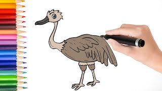 How to draw cartoon emu