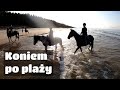 GoPro | Galop koniem po plaży i w morzu | Bałtyk Mierzeja | Rajd | Horseback riding over sea beach