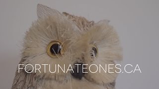 Fortunate Ones "Christmas Without You" chords