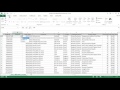 Microsoft Excel 2016 - Using the REPLACE() Function