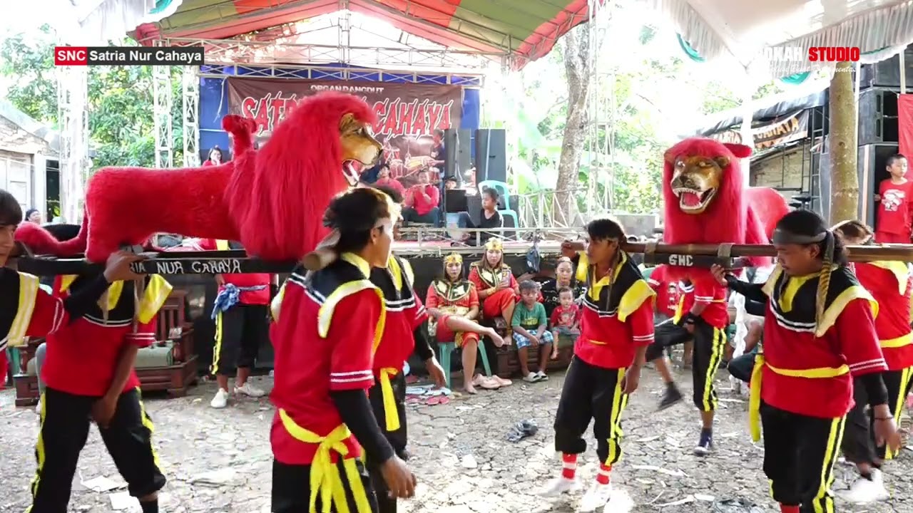 SINGA TARUNG // SNC SATRIA NUR CAHAYA