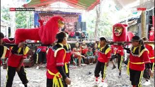 SINGA TARUNG // SNC SATRIA NUR CAHAYA