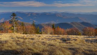 A Year in the Smokies, Great Smoky Mountains National Park by Smokies Life 5,579 views 4 months ago 1 minute, 39 seconds