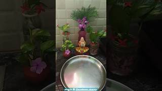 தம ணடககய பளககழமப ளககழஙக வறவல