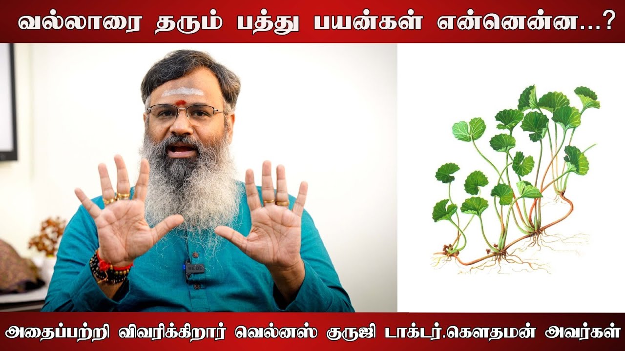 வல்லாரை தரும் பத்து பயன்கள் என்னென்ன? அதைப்பற்றி விவரிக்கிறார் வெல்னஸ் குருஜி Dr. கௌதமன் அவர்கள்!