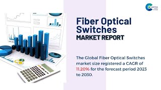 Fiber Optical Switches Market Report 2024 (Global Edition)