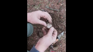 My first Barber Half Dollar