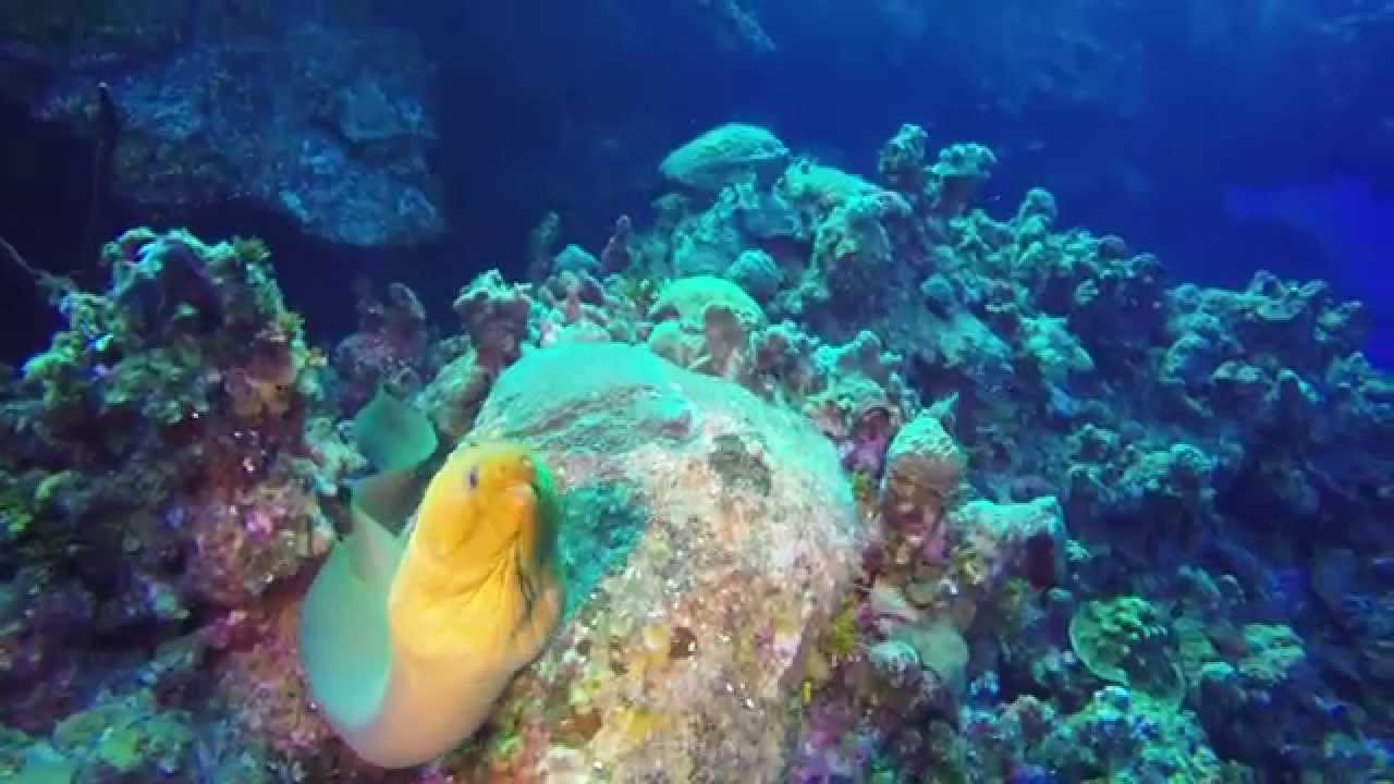 Tristan's Video Summary of Grand Cayman Vacation GoPro HD3+