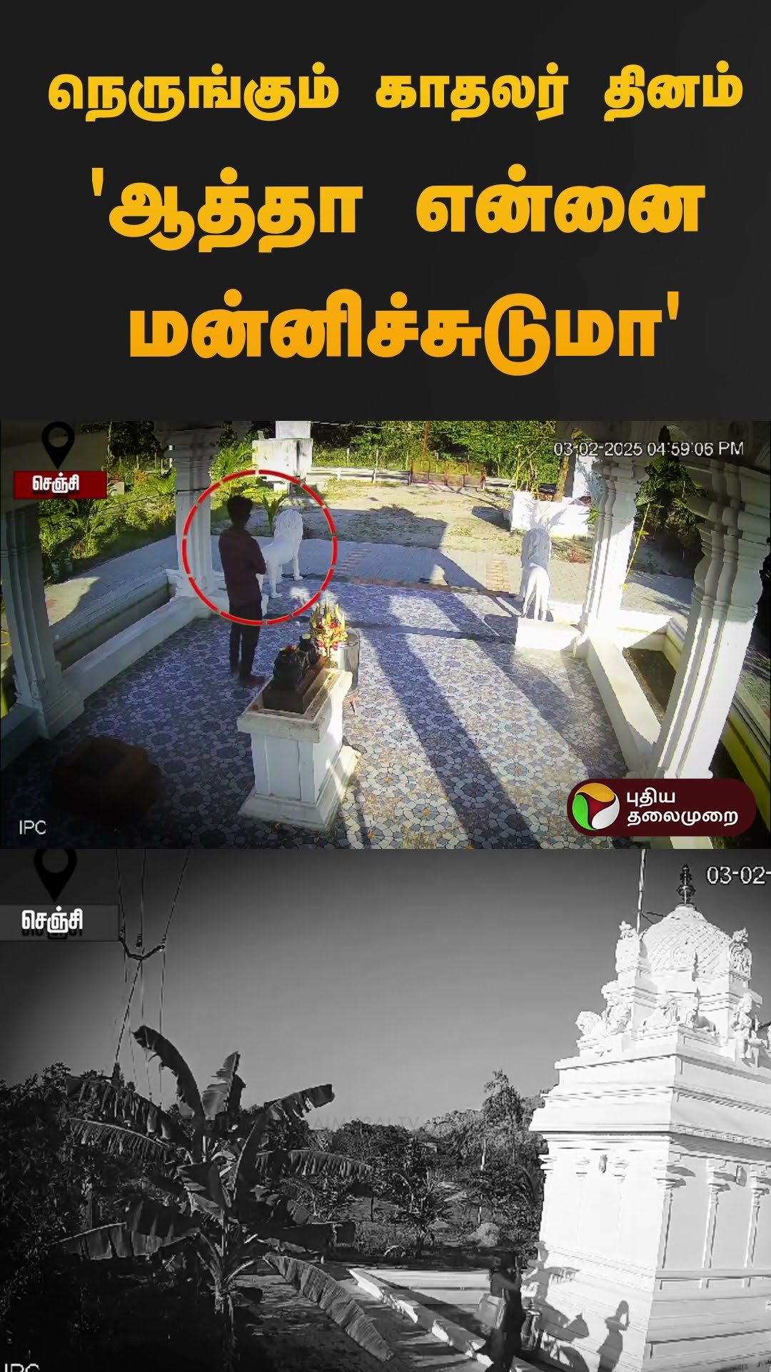 நெருங்கும் காதலர் தினம்' ஆத்தா என்னை மன்னிச்சுடுமா' | #gingee | #lovers | #shorts