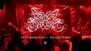 Liminal Shroud &quot;Transmigration I Pelagic Voids&quot; (Live Track)