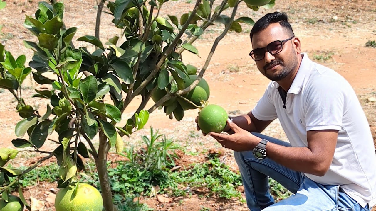 ഇവിടെ നിന്നാണ് നമ്മുടെ നാട്ടിലേക്ക് പച്ചക്കറികൾ വരുന്നത് #travelvlog #gundalpet