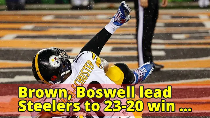 Brown Boswell Photo 6