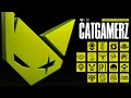 🔴 CATGAMERZ | PUBG MOBILE | RONIN | FINAL