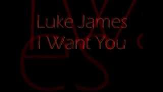 Video voorbeeld van "Luke James - I Want You (Lyrics)"