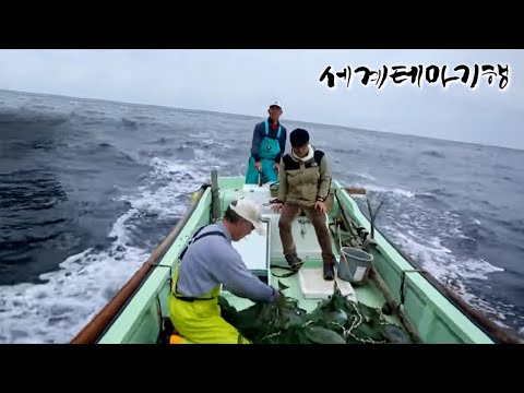 세계테마기행 - 맛나서 좋은 세상- 걷고 먹고 사랑하라, 규슈 올레_#002