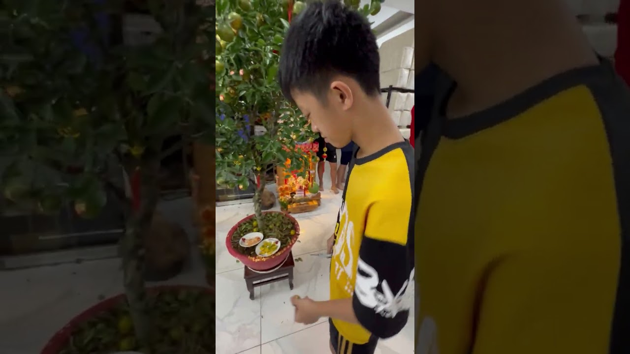 Hái lộc mùng 9 Tết Bính Ngọ 2026, clip 1