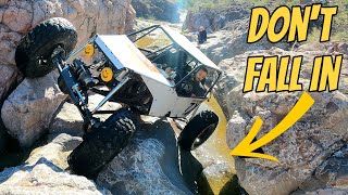 Ex Terminator Trail & CD | Table Mesa AZ