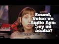 Sound, Voice ve Audio aynı şey mi acaba?