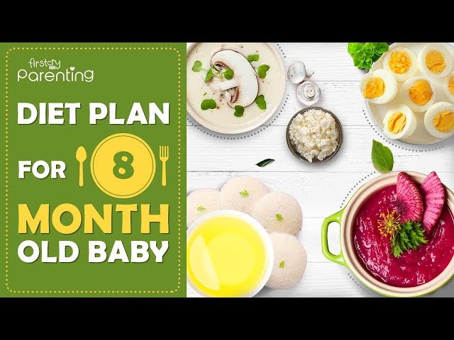 8 month old food