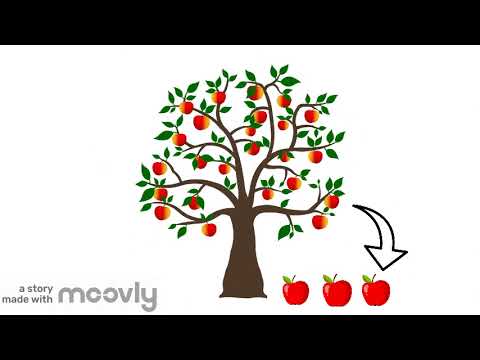 Der Apfel fällt nicht weit vom Stamm