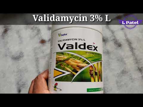 Validamycin 3 % L की पूरी जानकारी पहली बार you tube पर | Validamycin 3 % SL