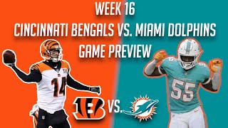 Week 16 - Cincinnati Bengals vs Miami Dolphins Game Preview