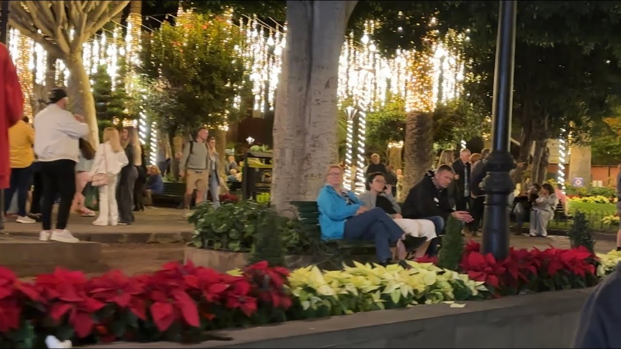 Holiday Lights in Puerto de la Cruz 2025