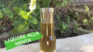 LIQUORE ALLA MENTA  fatto in casa digestivo naturale buonissimo