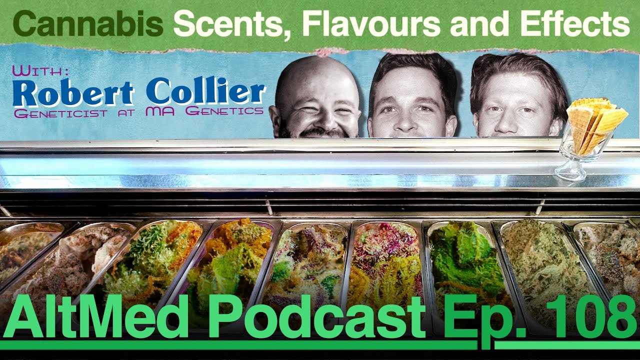 Cannabis Scents, Flavours and Effects: Robert Collier, Geneticist at MA Genetics (AltMed Ep.108)