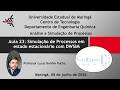 Aula 23 - Simulação de Processos em Estado Estacionário com DWSIM