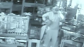Thief steals 20 expensive reptiles from exotic pet shop in Livonia