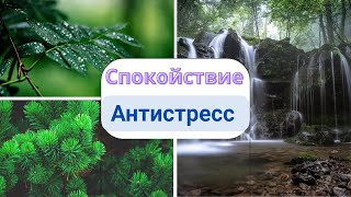 Антистресс.Скрытые позитивные аффирмации.Саблиминал