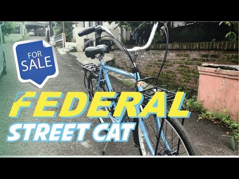 Ngebangun Sepeda Federal Street Cat 550 Ganteng @CiptadiSyachrani