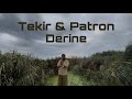Tekir Patron Derine