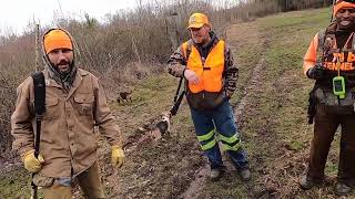 TB Kennel Back in Bama Rabbit Hunting  With Mr. Rusty, Andy & Shorter