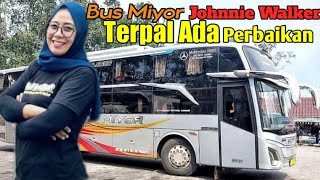 info Uni Chanchan😀 Bus Miyor Johnnie Walker Terpal Ada Perbaikan