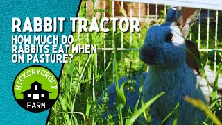 Rabbit Tractor | How Much Do Rabbits Eat When On Pasture