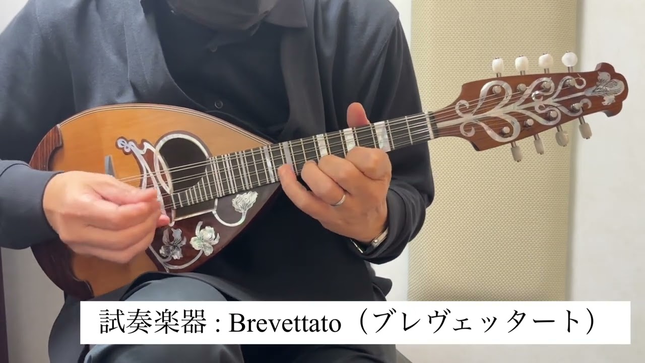 Calace Brevettato【マンドリン】 カラーチェ 【 丸井錦糸町店