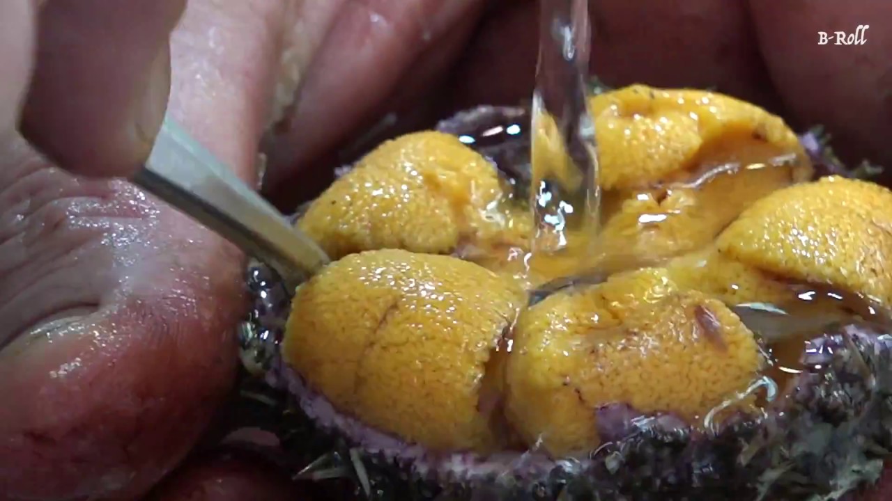 Japanese Street Food Cleaning Sea Urchin And Scallops Youtube