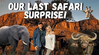 Epic South African Safari Vlog, Playful baby Giraffe, Luxury Treehouse inc awesome sightings!