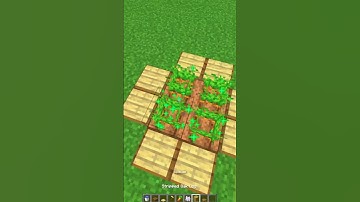 Minecraft Rabbit Trap 🐇