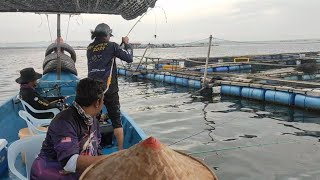 01102025 Trip Mancing At Sangkar Sungai Udang Penang