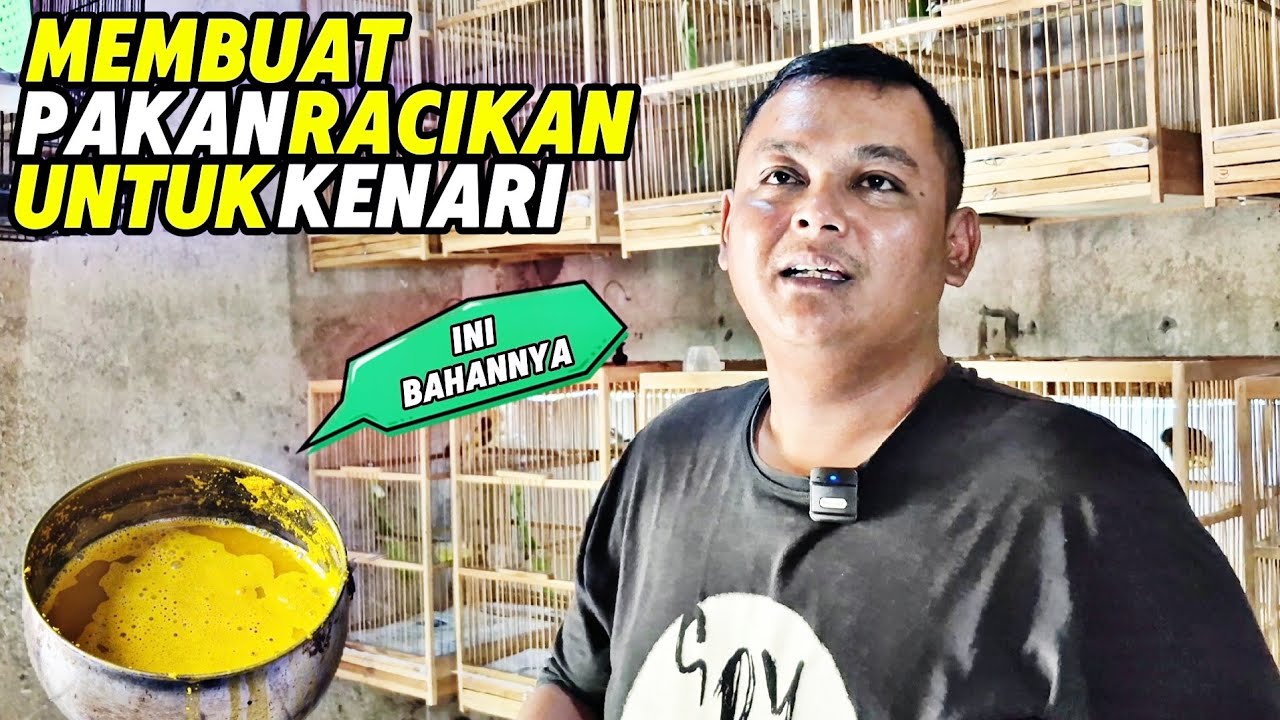 TIPS‼️Membuat PAKAN RACIKAN untuk BURUNG KENARI...