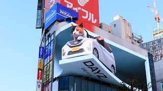 新宿巨大猫に車のクリスマスプレゼント　猫言葉で「やっちゃえ日産」 クロス新宿ビジョン最新作『新宿東口の猫、にゃっさんデイズに乗る』