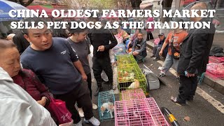 CHINA'S OLDEST WET MARKET IS SELLING PET DOGS AS THE TRADITION