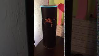 Alexa can sneeze on command.