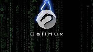 The Best Application For Encrypted Calls screenshot 4